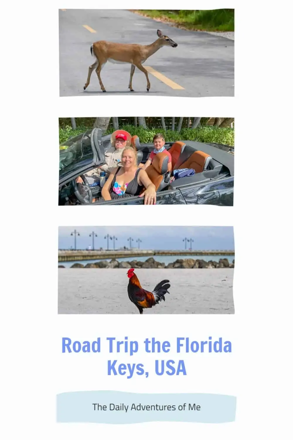 Road trip the Florida Keys and discover the history, coral reefs, wildlife, boating and food. #FloridaKeys #Floridaroadtrip #visitFlorida