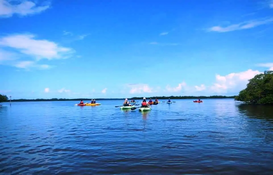 adventures through kayaking tours