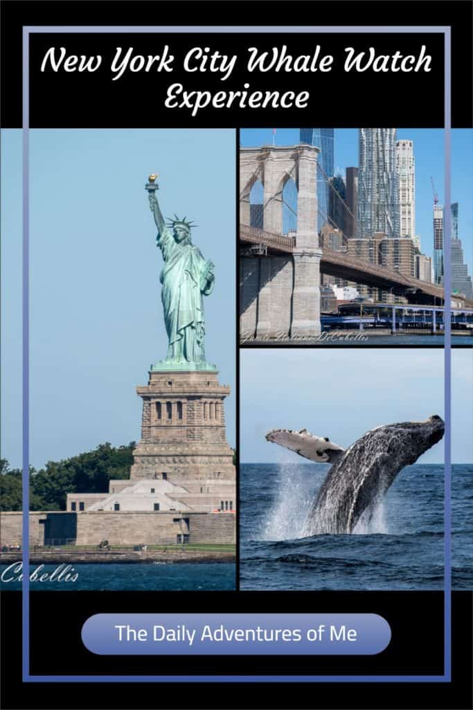 Why limit yourself to a New York harbor cruise when you can have that experience combined with the chance to see whales! #eventcruisesNYC #thingstodoinNYC
