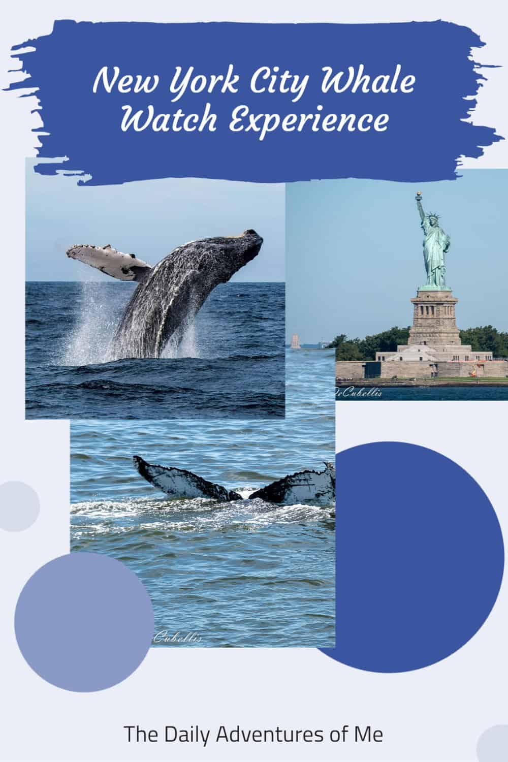 Read on to see why this whale watch from New York City delighted my whole family! #hosted #humpbackwhales #nature #NYCcruises