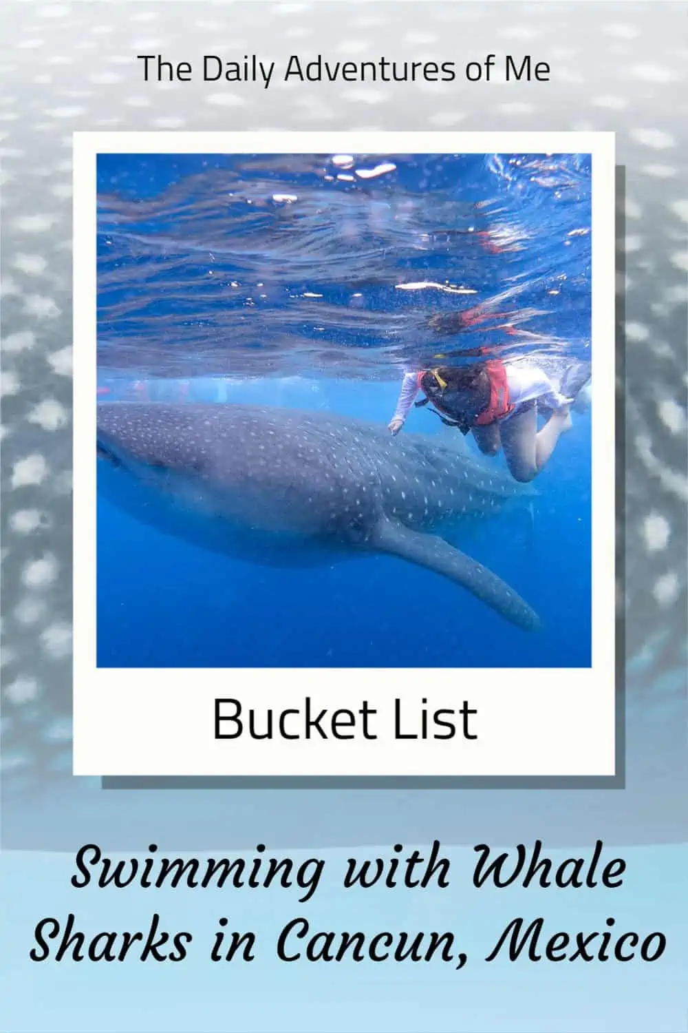 Read on for all the details to place your whale shark swim adventure from the Yucatan, Mexico. #Mexicobucketlist #thingsstodoinMexico