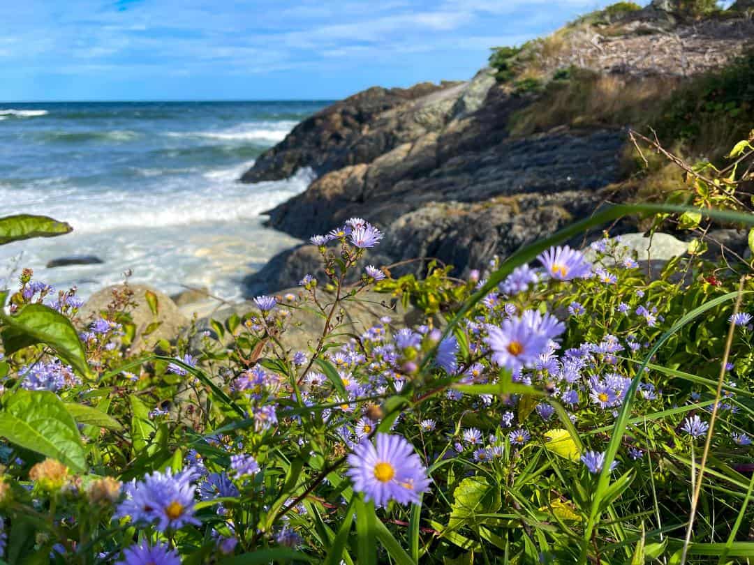 things to do in Ogunquit