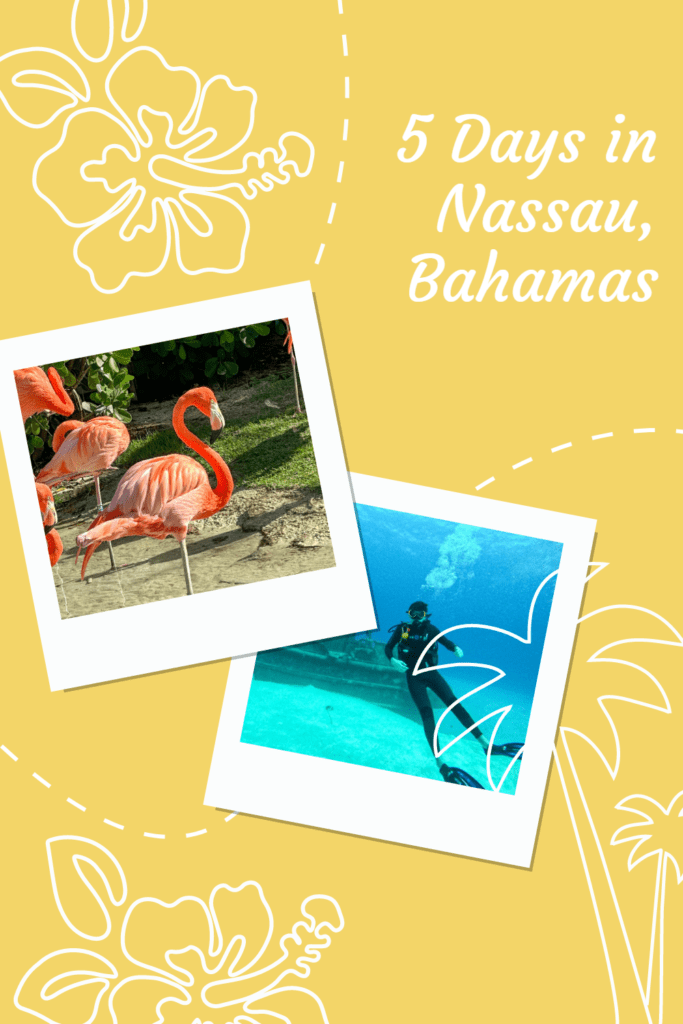 Although my 5-Day trip to the Bahamas had many challenges, I did discover what to do in Nassau, including what to eat and where to stay on this beautiful island, just a few hours away from US' East Coast. #Bahamastravel #whattodoinNassau #islanddreams