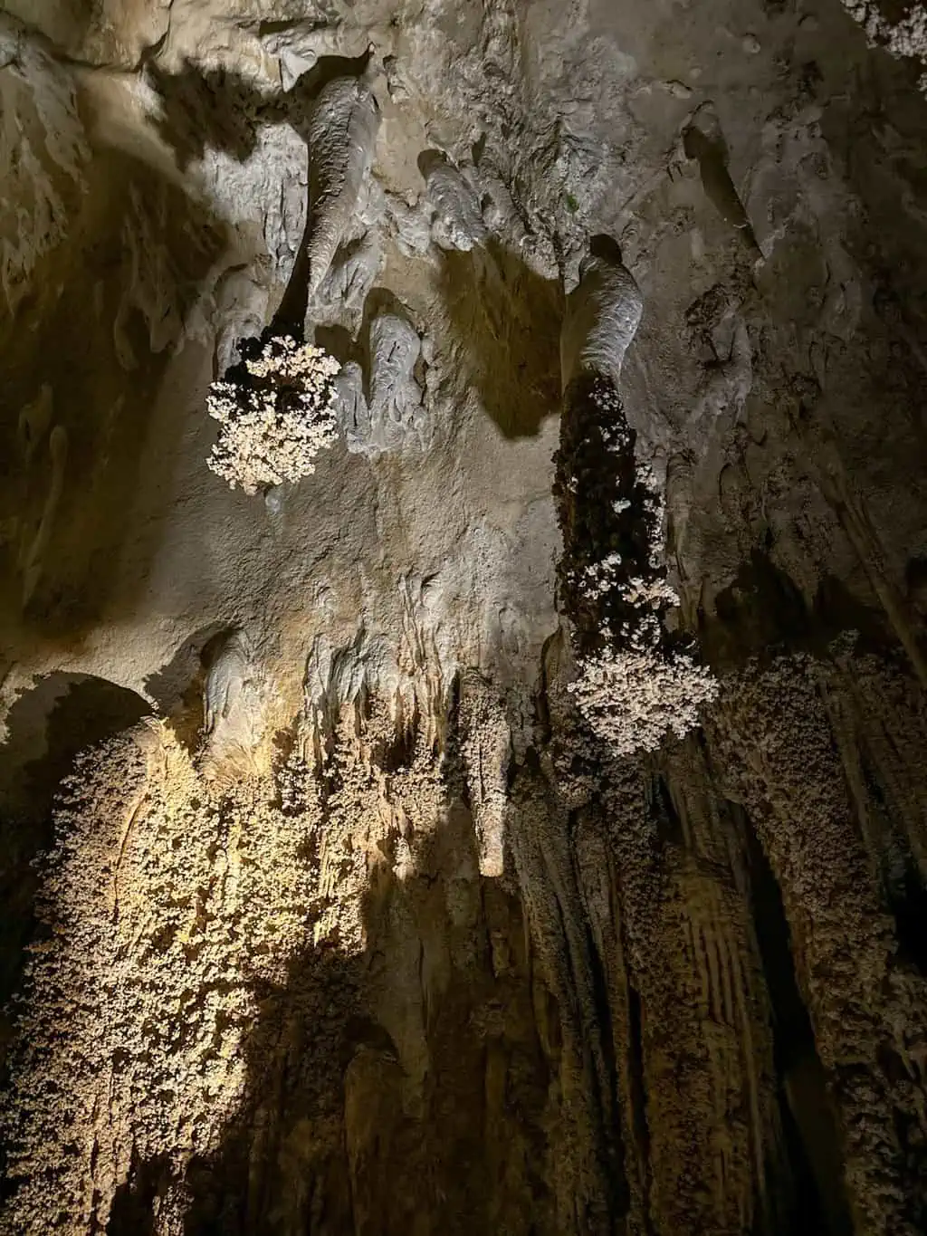 Things to see in Carlsbad Caverns