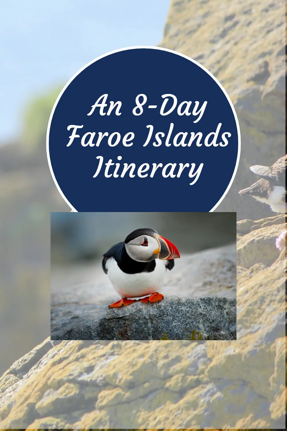 Discover a hidden gem in the North Atlantic – the Faroe Islands. #faroeislands #travel #naturelovers