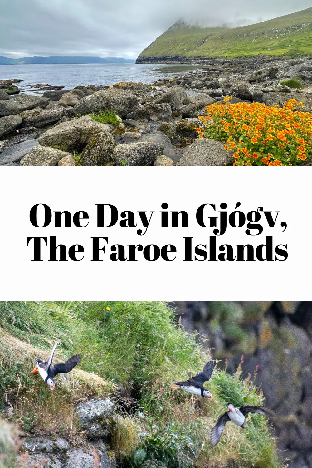 Ready for an adventure? 🥾🌿 Spend a day in Gjógv, where the mountains meet the sea, and unforgettable memories are waiting to be made! #FaroeIslandsAdventures #ExploreNature #TravelTips