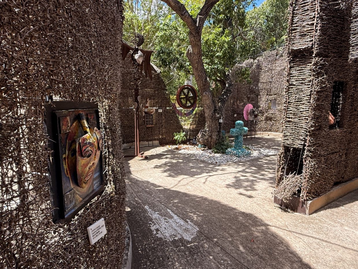 Garden in Curacao