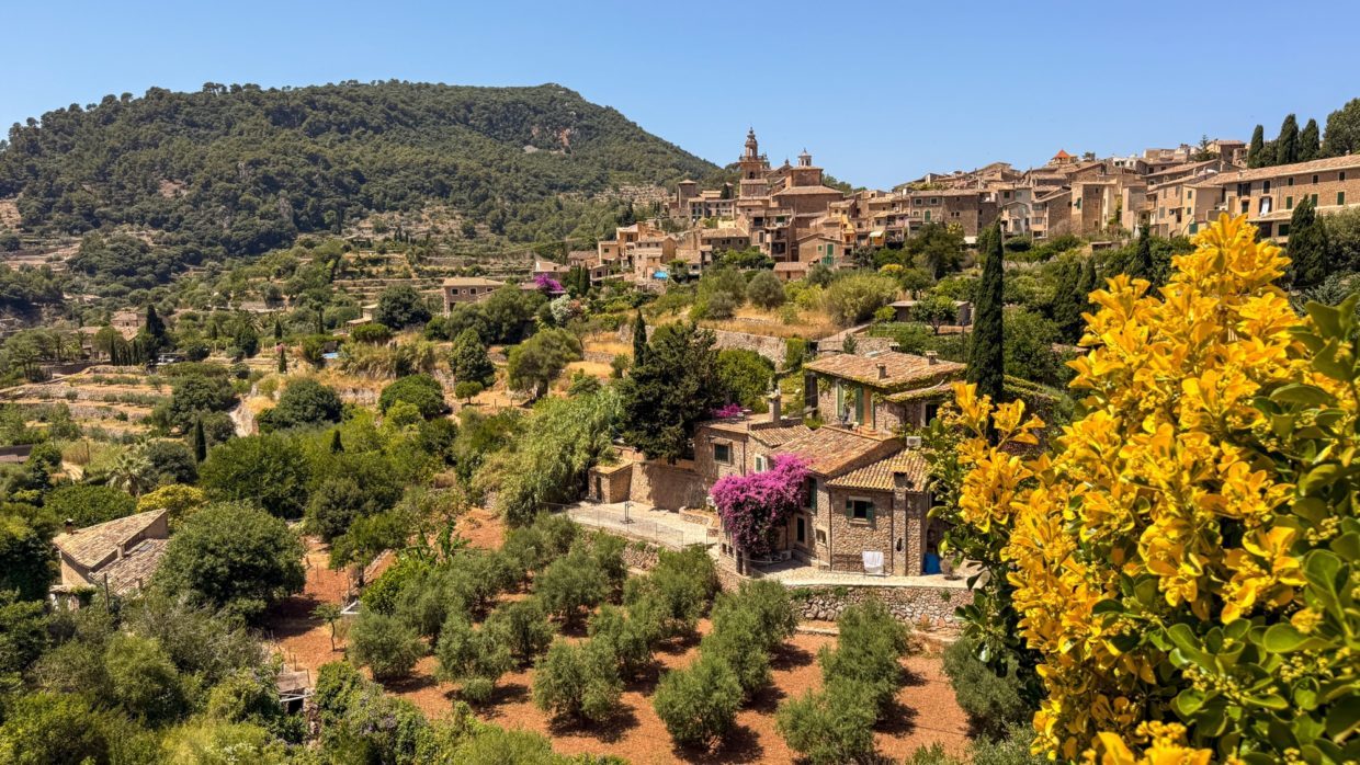 things to do in palma de mallorca