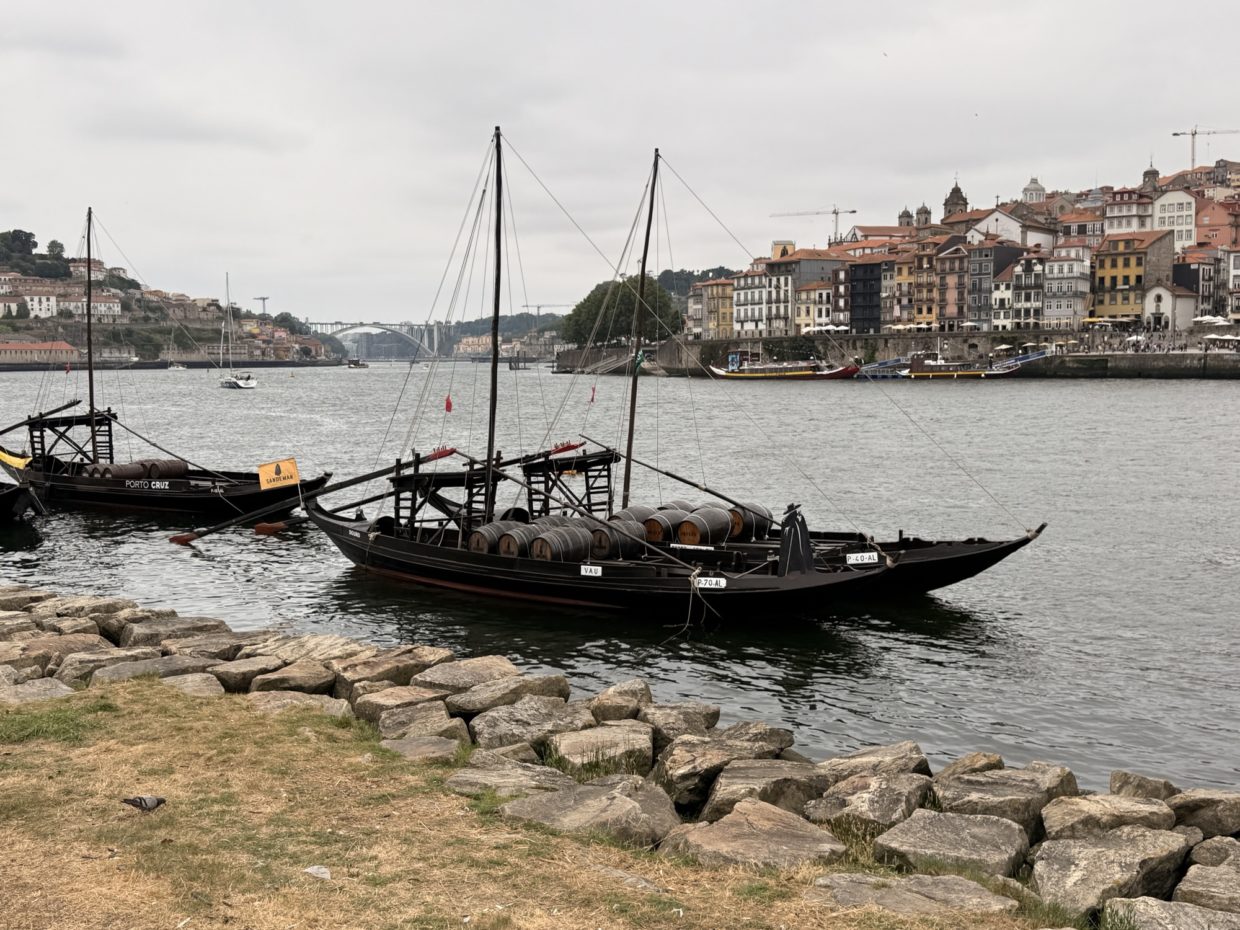 The port houses across from Porto